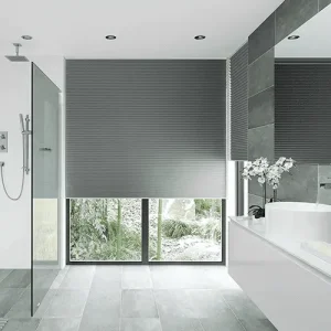 Pleated Blinds